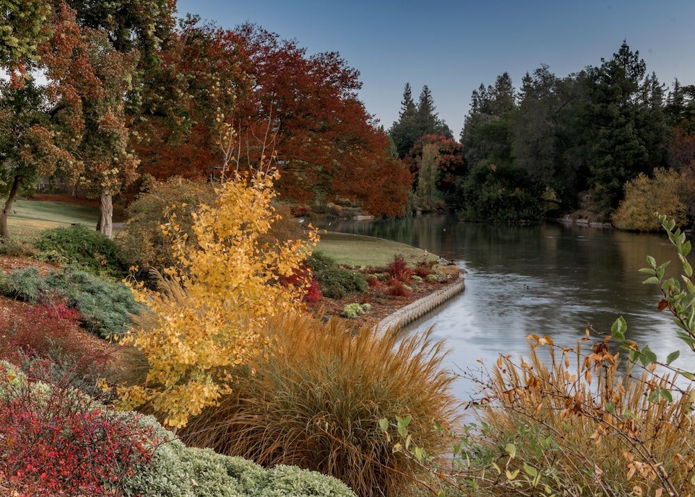 Davis Arboretum at UC Davis
